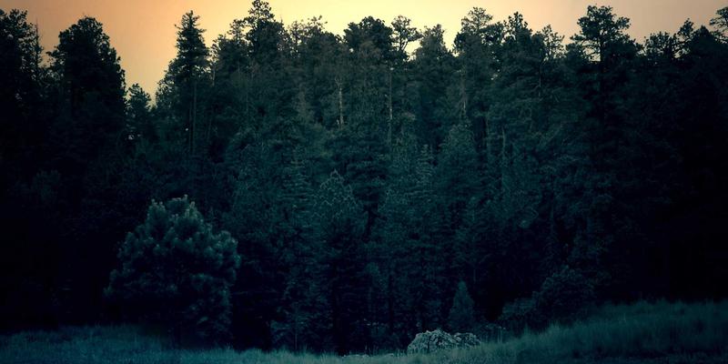 博物馆与艺术馆标识：如何平衡信息传达与沉浸式观展体验