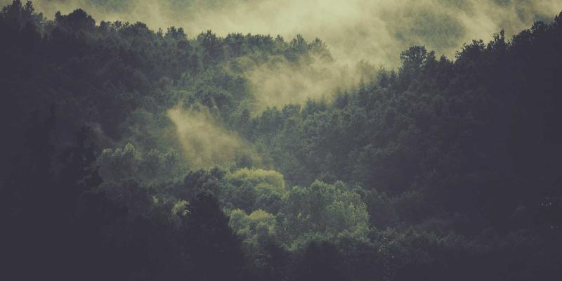 商业综合体动线标识规划：户外广告与中国标志如何引导客流并提升商铺价值