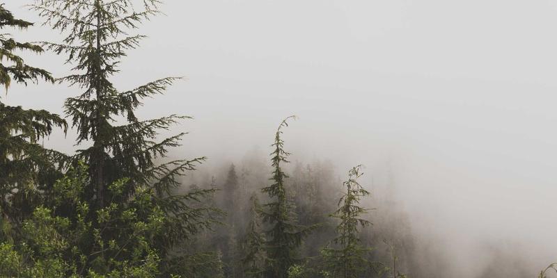 商业综合体地下停车场导视系统优化策略：从灯箱制作到中国标志设计的实践指南