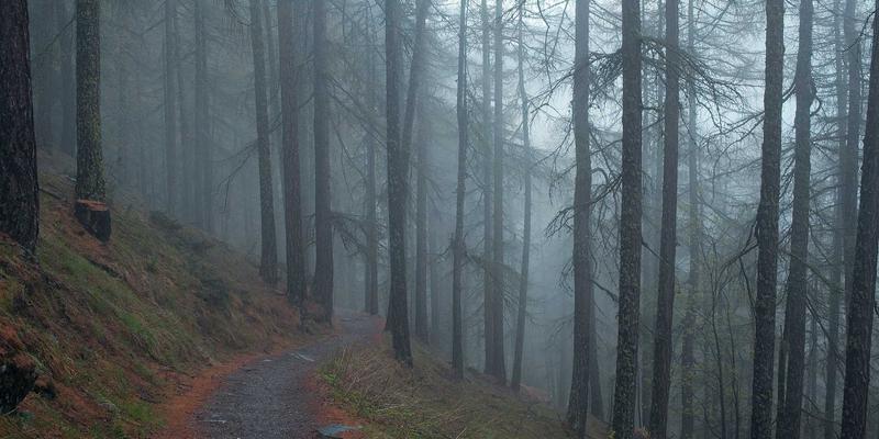 旅游景区标识系统规划：如何让标牌设计与自然景观完美融合