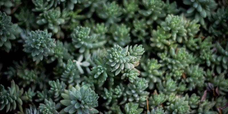 标识标牌18：中国标识产业的演进与广告制作新纪元