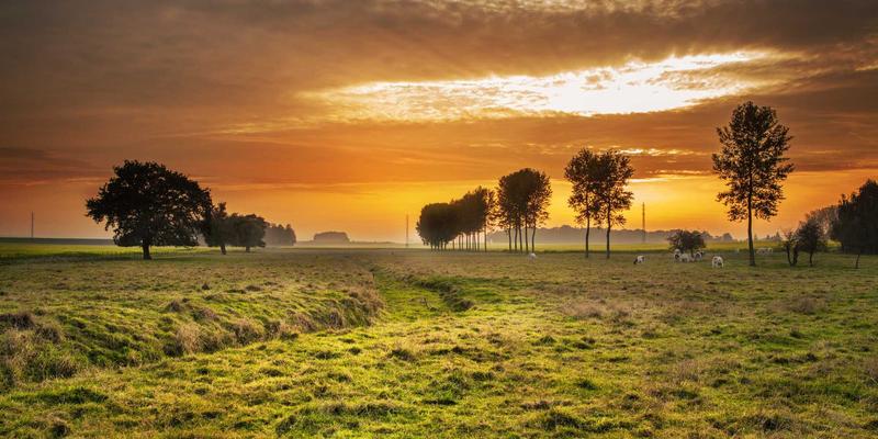 标识标牌：城市视觉语言与品牌传播的核心载体